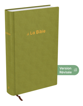 Bible Darby Révisée compact, rigide velours vert
