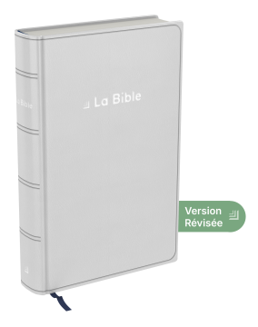 Bible Darby Révisée compact, souple grise