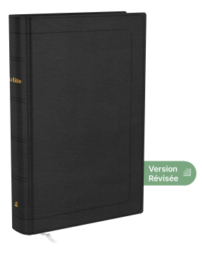 Bible Darby Révisée compact, cuir noir