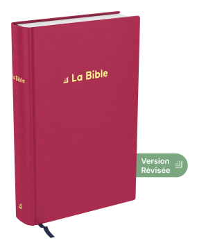 Bible Darby Révisée standard, rigide velours rouge