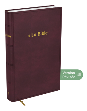 Bible Darby Révisée standard, rigide brun-rouge