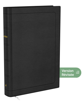 Bible Darby Révisée large marge, cuir noir