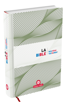 Nouveau Testament, édition pour DYS