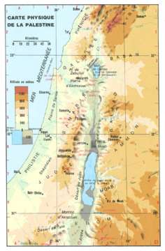 Carte murale: Carte physique de la Palestine