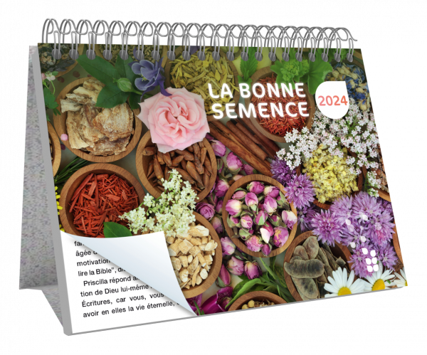 La Bonne Semence, français, grand format 2024