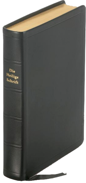 Bible format moyen, allemand, cuir sans rebord, noir